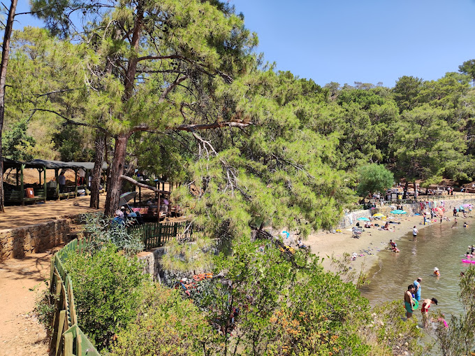 Katrancı Kamp Alanı